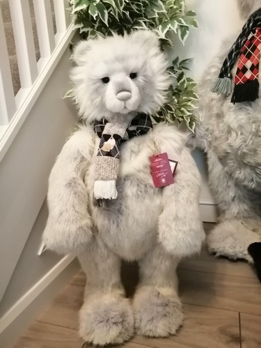 Charlie bears ballyhoo - bears, 2023