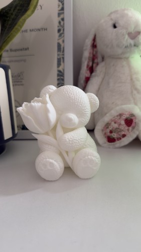 Cute teddy bear holding - holding, tulip