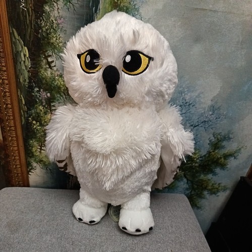 Harry potter hedwig - harry,
