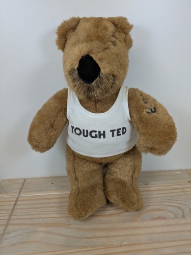 Golden bear vintage tough ted - bear,